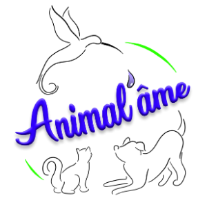 Logo association Animal'Âme